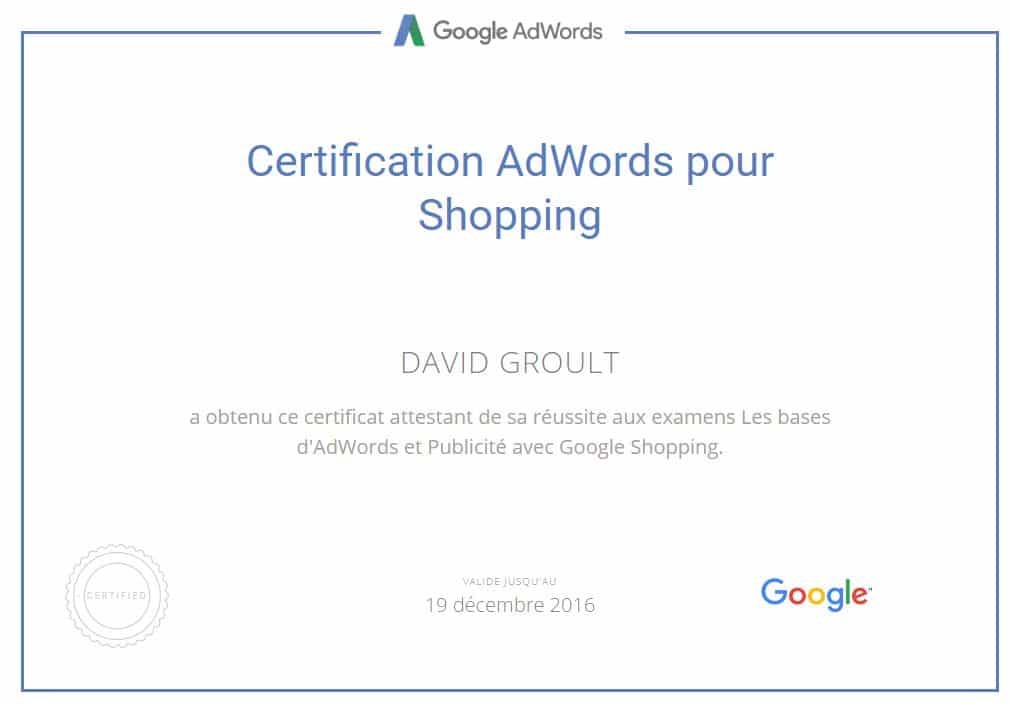 Google Shopping Adwords Angers - David Groult
