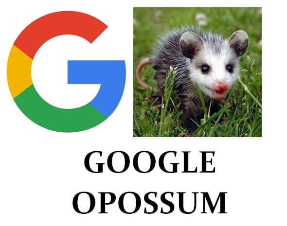 Google Opossum